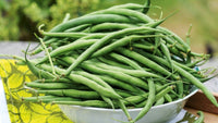 Organic  Beans (Nati)