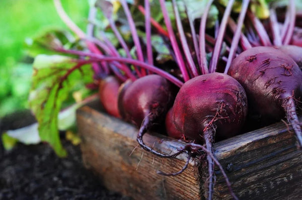 Organic Beetroot with Leaf