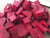 Organic Beetroot Diced