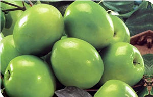 Organic Ber- Apple/Indian Jujube fruit