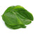 Organic Betel Leaves