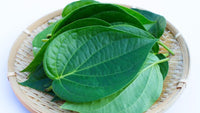 Organic Betel Leaves