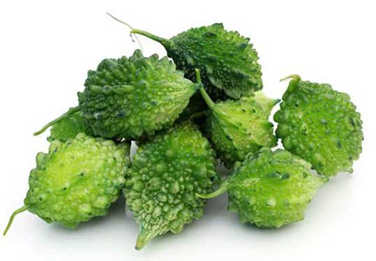 Organic Bitter Gourd / Karela Small – GreenDNA® India