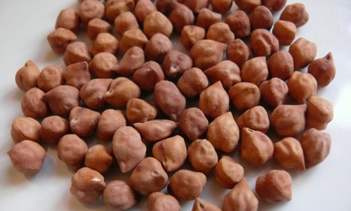 Organic Brown Channa (Kala Channa)