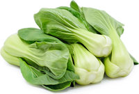 Organic Bok Choy