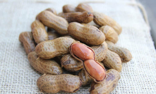 Organic Boiled Peanuts  with shell