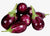 Organic Brinjal Purple-OFFER