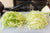 Organic Shredded Cabbage