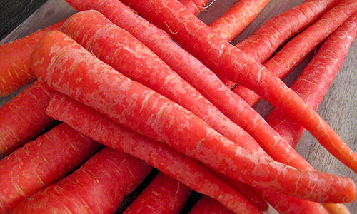 Organic Red Carrot