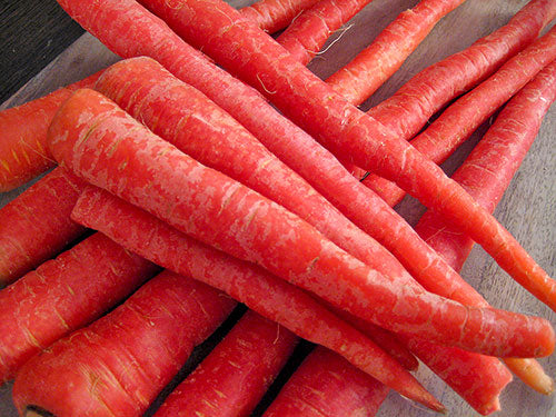 Organic Red Carrot Delhi Carrot