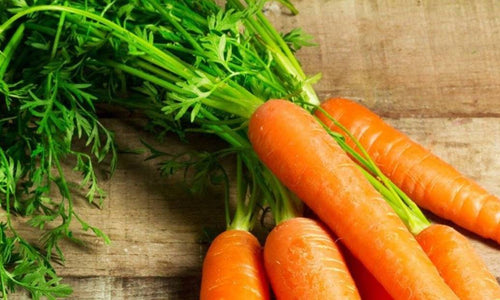 Organic Carrot With Leaves