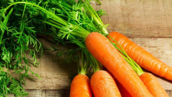 Organic Carrot With Leaves