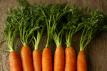 Organic Carrot With Leaves