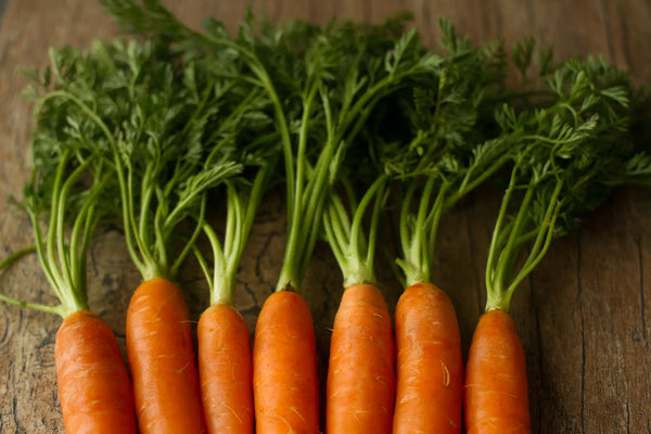 Organic Carrot With Leaves