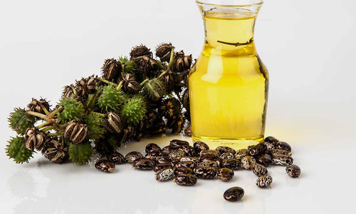 Organic Castor oil*