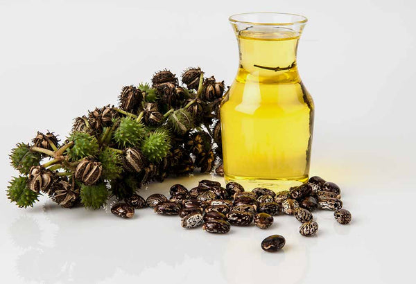 Organic Castor oil*