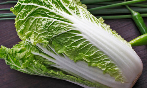 Organic Chinese Cabbage