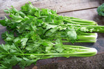 Organic Celery Leaf