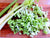 Organic Celery Seasoning Powder*