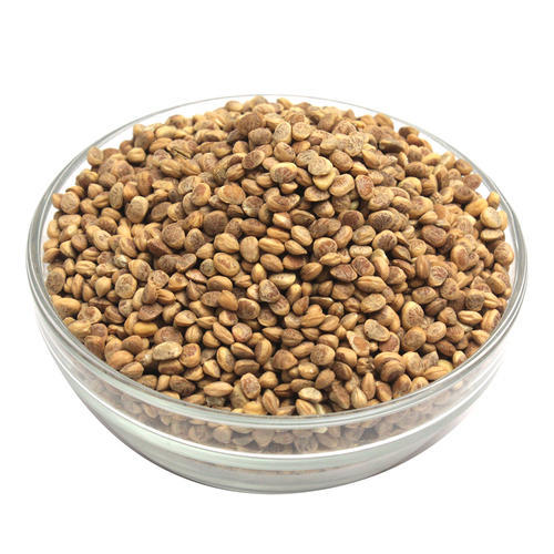 Organic Almondette Kernels ( Chironji)
