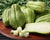 Organic Chow Chow Diced