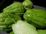 Organic Chow Chow / Seeme badanekai-Offer