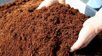 Organic Coco Peat Powder