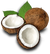Organic Coconut Big