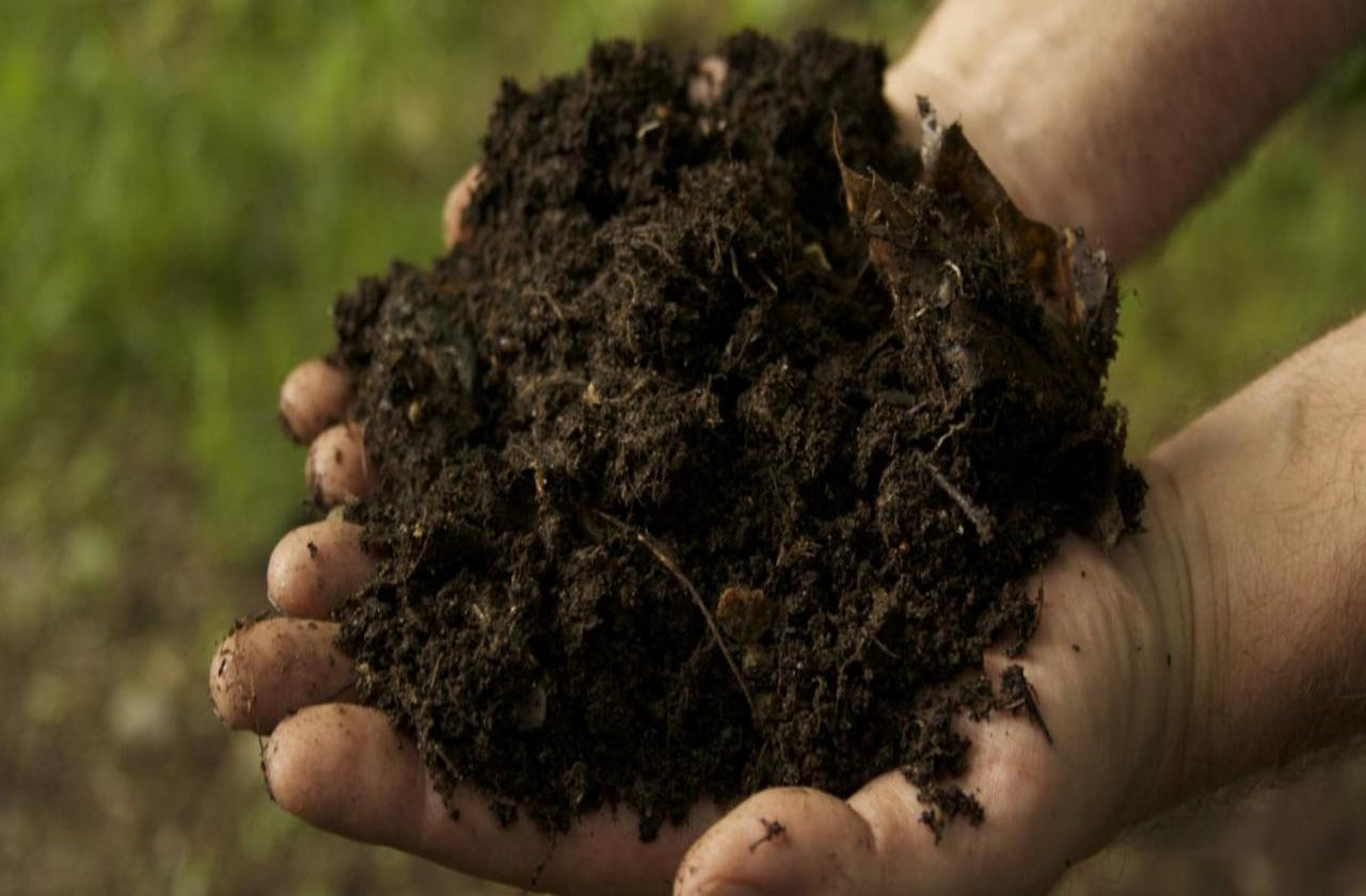 Organic Cow Dung Compost – GreenDNA® India