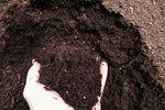 Vermi Compost