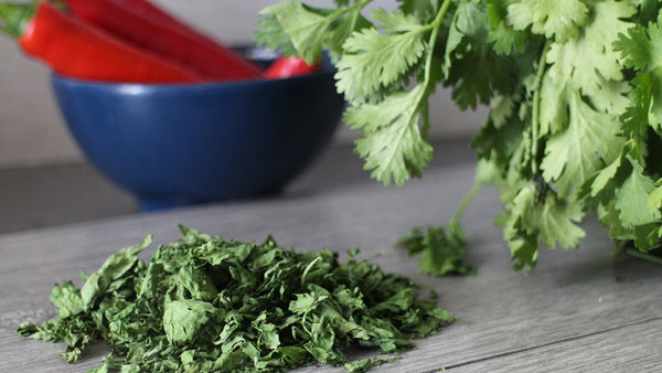 Organic Dried Coriander Leaves*