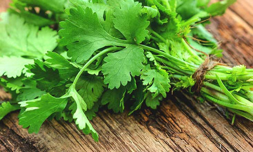 Organic Coriander/Dhaniya leaves