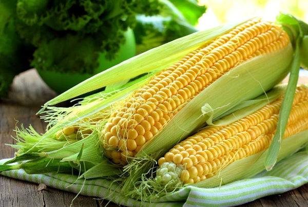 Organic Sweet Corn