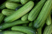 Organic Cucumber