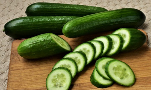 Organic English Cucumber