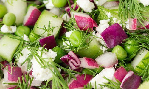 Organic Cucumber, Tomatoes & Dill Leaves Salad Pack