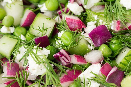 Organic Cucumber, Tomatoes & Dill Leaves Salad Pack