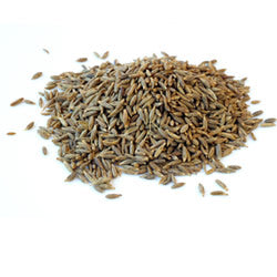 Organic Cumin (Jeera) Seeds