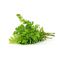 Organic Curry Leaves