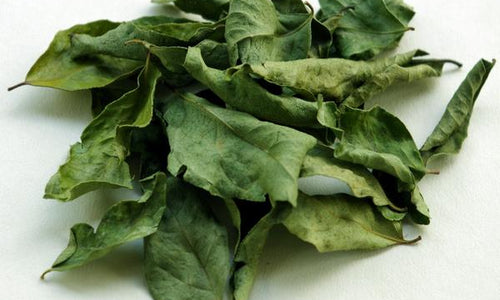 Organic Dried Curry Leaves