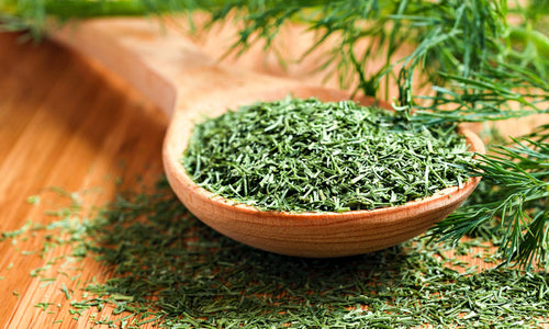 Organic Dried Dill Leaves*