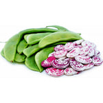 Organic Indian Double Beans