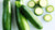 Organic Zucchini Green