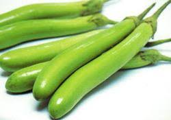 Organic Brinjal Green long