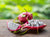 Organic Dragon Fruit White