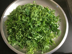 Organic Moringa Leaves