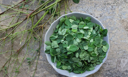 Organic Moringa Leaves