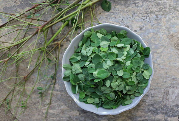 Organic Moringa Leaves