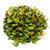 Organic Dried Henna/Mehndi Leaves