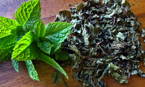 Organic Dried Peppermint*